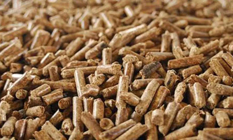 Paano ang tungkol sa merkado para sa biomass pellet fuel?  Kanino ko maibebenta?