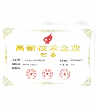 2020 High-tech na Enterprise