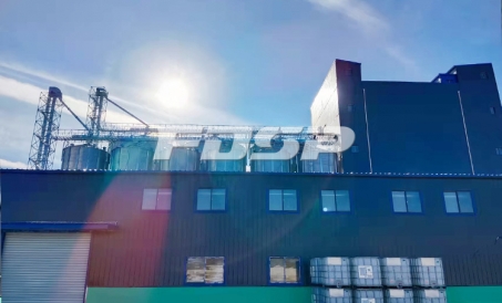 Ang pagkomisyon ng linya ng produksyon ng mga baka at manok + ruminant feed na may taunang output na