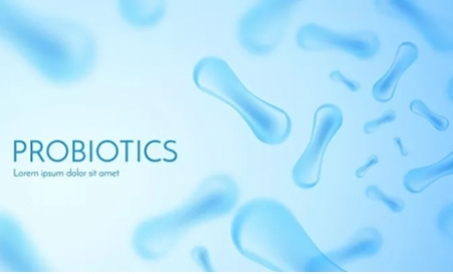 Mga kalamangan ng biological fermentation feed