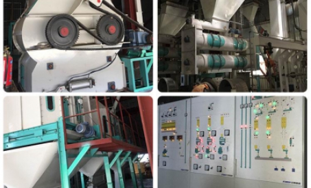 30tph Livestock &amp; Ang Proyekto sa Produksyon ng Poultry Feed Sa Myanmar ay Nakumpleto At Ini