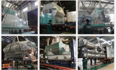 Harapin ang Global Market, Lumikha ng Isang Internasyonal na Tatak - Egypt 50tph Livestock And Poult