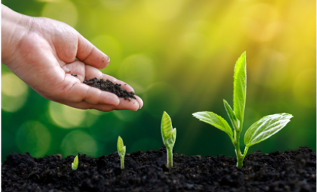 Mamuhunan sa pagtatayo ng organic fertilizer plant at unawain ang mga puntong ito upang maiwasan ang
