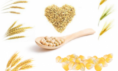 Mga hakbang sa proteksyon ng kalidad ng mga hilaw na materyales ng feed