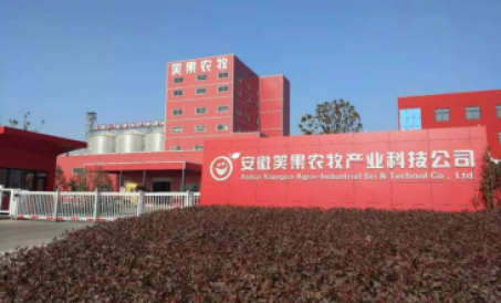 Anhui double-line SZLH420 livestock at poultry feed produksyon linya nakumpleto at ilagay sa produks