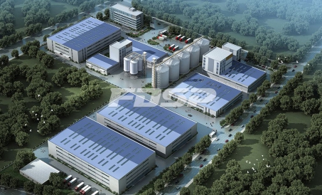 FDSP case demonstration ng corn deep processing project